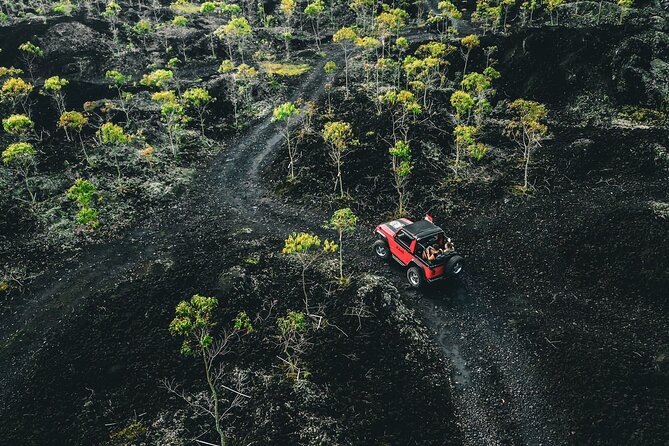 Mount Batur 4WD Jeep, Breakfast and Hot Spring All Inclusive - Reaching Mount Batur before sunrise