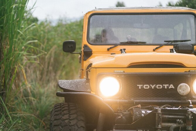 Mount Batur Black Lava Jeep Tour with Pickup - Is $40 good value?