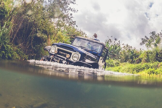 Mount Batur Black Lava Jeep Tour with Pickup - What the guides add to the experience