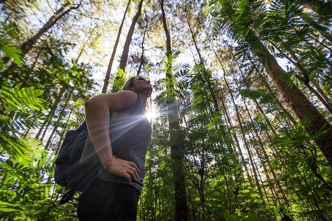 Mount Batur Sunrise Hike with Breakfast - Weather, safety, and what to pack