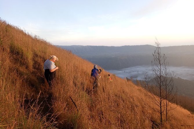 Mount Batur Sunrise Trekking Guide - The coffee plantation on the return drive