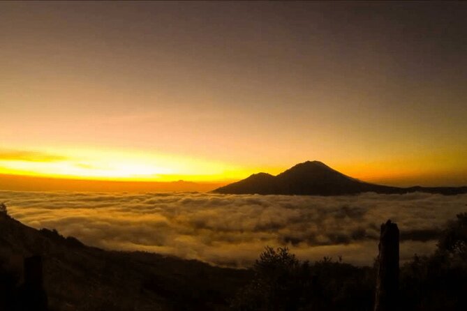 Mount Batur Sunrise Trekking Sharing Group - The coffee plantation visit on the way back