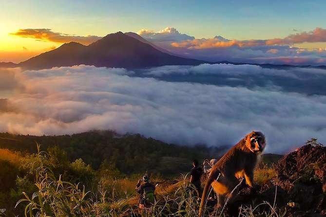 Mount Batur Sunrise Trekking With Breakfas - What the $59.94 price covers