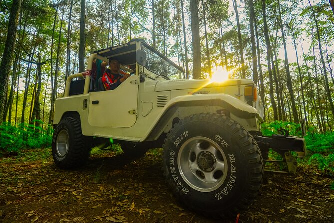 Mount Batur Trekking by 4wd Jeep - Leaving Ubud at 2:30 for a sunrise that cannot wait