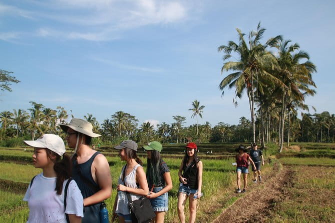 Mt Batur Sunrise Jeep & Natural Hot Spring Tour - Is $65 a fair price?