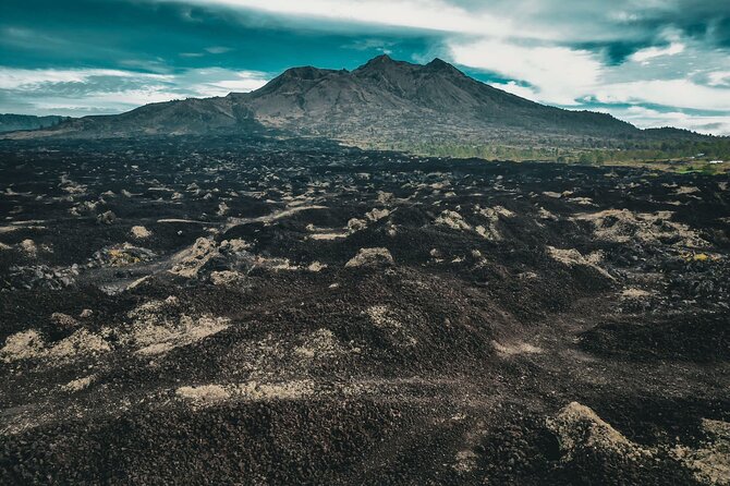 Mt Batur Sunset 4WD Jeep Tour - The Optional Coffee Plantation Stop at 2:30 p.m.