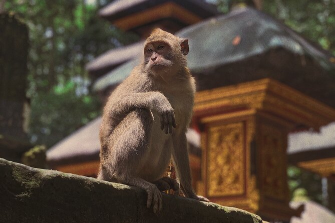 Munduk: Tamblingan jungle trek, waterfall, Ulun Danu temple - Why northern Bali makes a better day trip than another Ubud stop