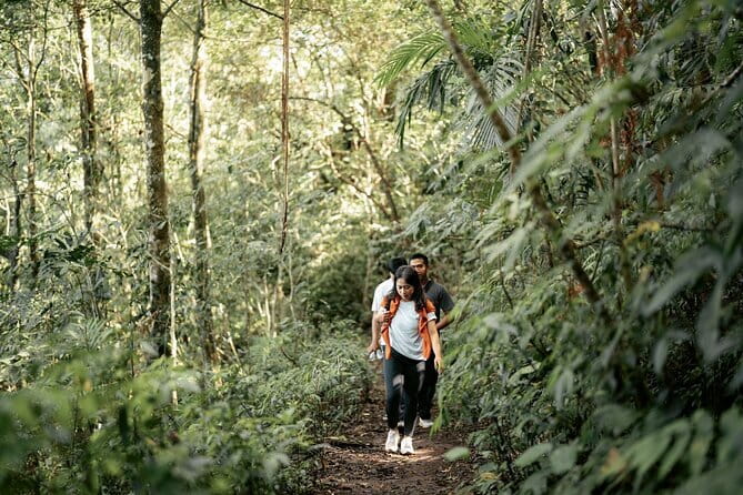 Munduk Twin Lake Jungle Hike, Ulun Danu Temple, & Waterfall - Starting at Wanagiri’s Twin Lake View Point