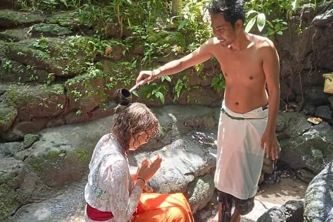 natural holy waterfalls healing tour. - Tegalalang Rice Terrace, lunch with a famous Ubud view