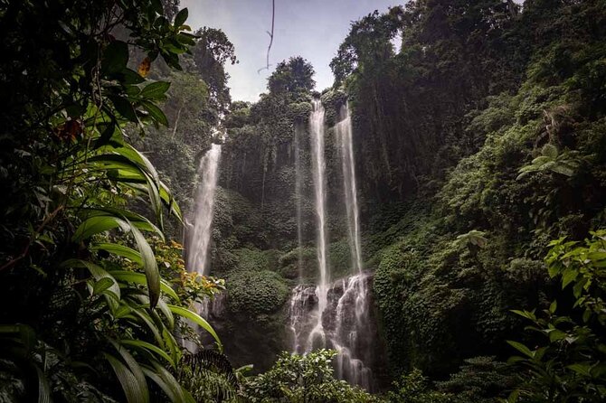 North Bali Tour: Banyumala Waterfall & Wanagiri Hidden Hills - A long day from Ubud to North Bali