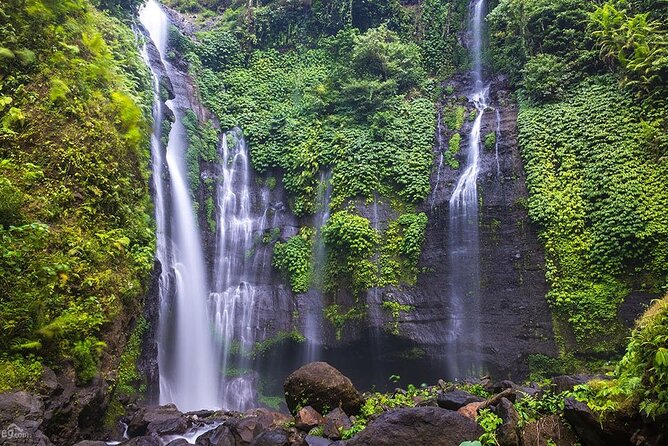 North Bali Tour: Banyumala Waterfall & Wanagiri Hidden Hills - Banyumala Twin Waterfalls requires real walking