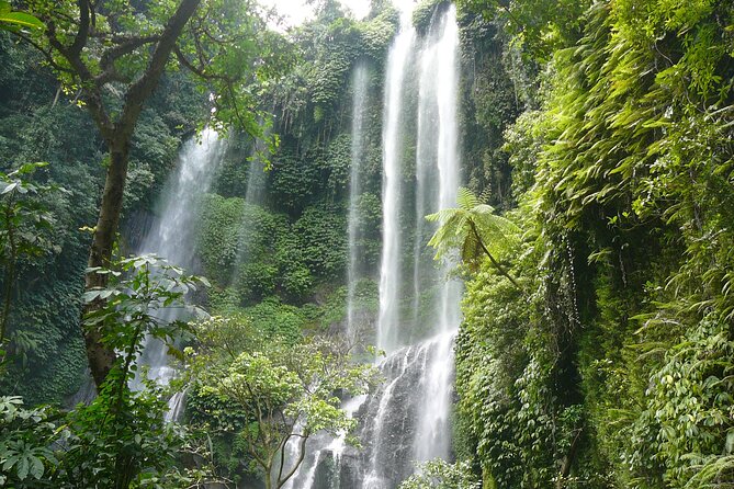 North Bali Tour: Banyumala Waterfall & Wanagiri Hidden Hills - Handara Gate is famous, but keep expectations in check