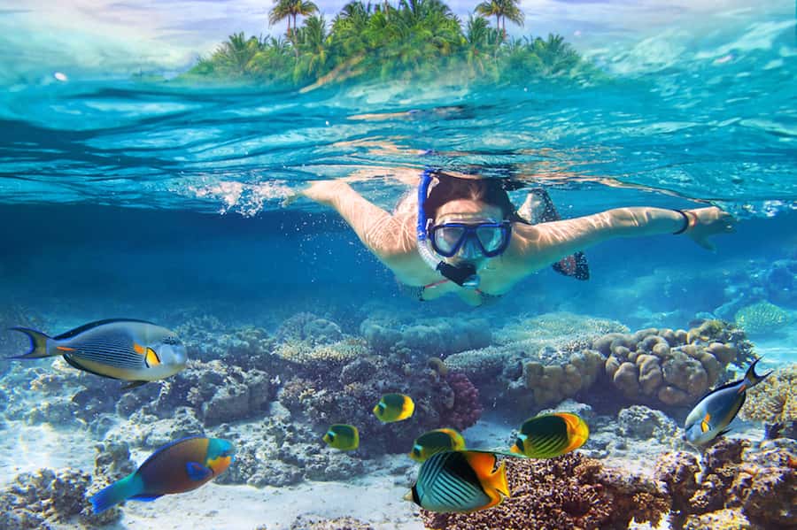Nusa Lembongan Island: Snorkeling & Mangrove Forest Day Tour - Why this Nusa Lembongan day works