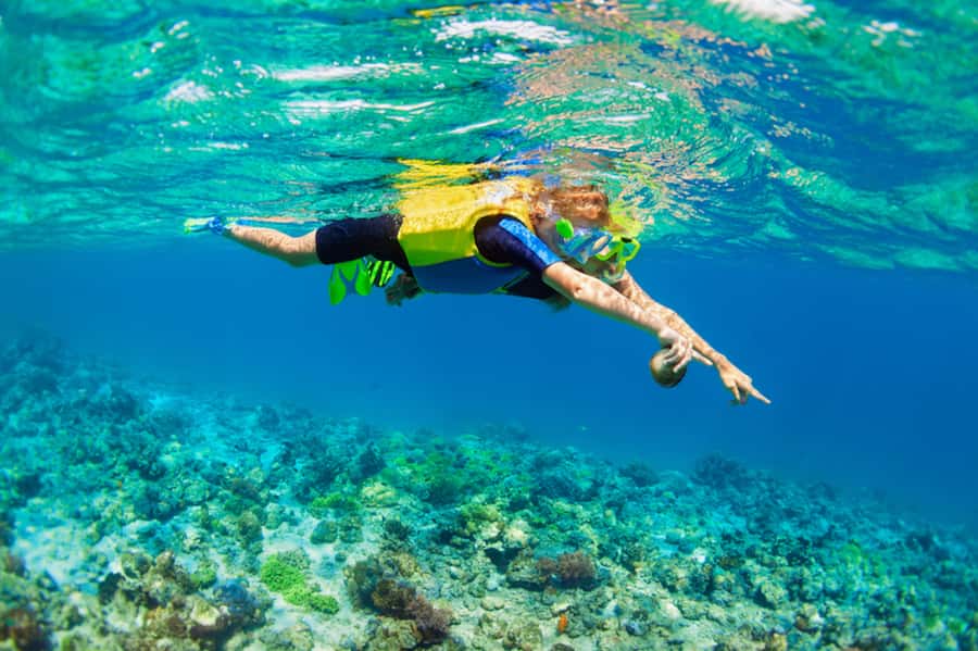 Nusa Lembongan Island: Snorkeling & Mangrove Forest Day Tour - The guides are a real part of the value