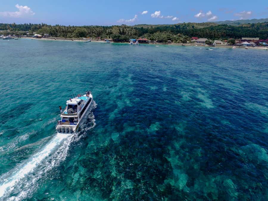 Nusa Lembongan Island: Snorkeling & Mangrove Forest Day Tour - Group size, transfers, and optional upgrades