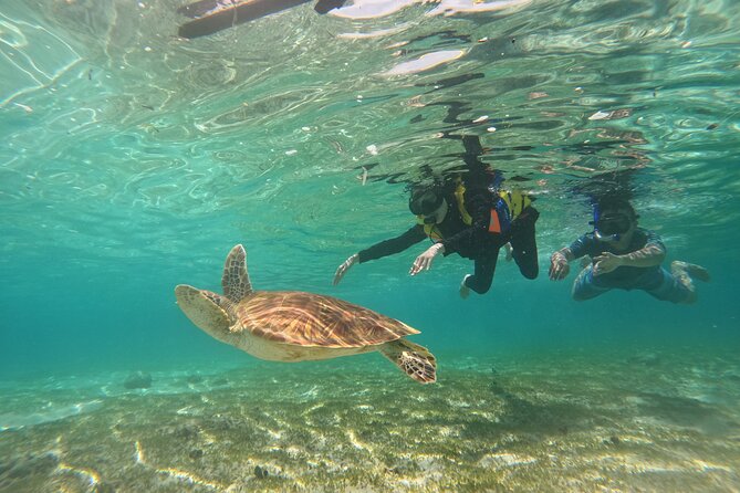 Nusa Penida & Gili Trawangan 3Days 2Night (Snorkeling) - Crossing to Gili Trawangan