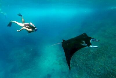 Nusa Penida Snorkeling 3 Point with Manta Bay & Land Tour