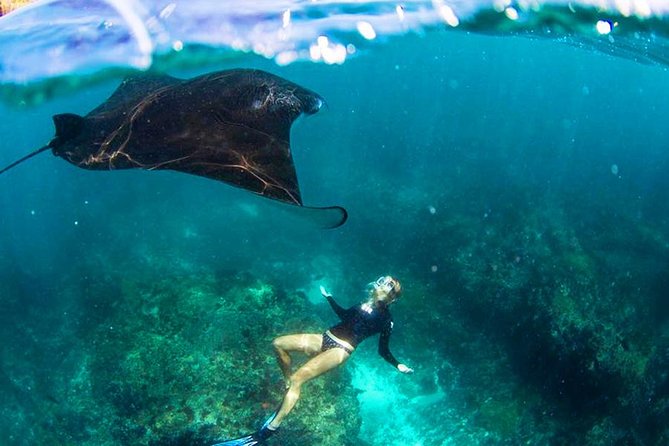 Nusa Penida Snorkeling & Kelingking Tour - Key points before you book