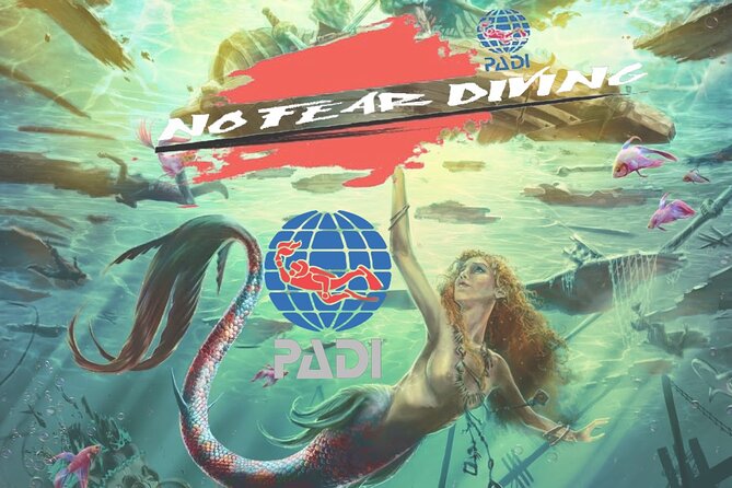 Padi Discover Scuba Diving In Amed Bali - Practical points that can affect your day
