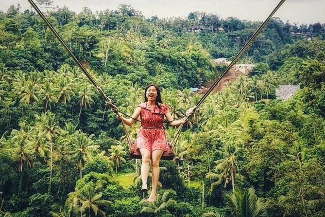 Penglipuran Traditional Village Tour with Swing, Rice Terrace, and Temple - Craft villages add a look at working Bali