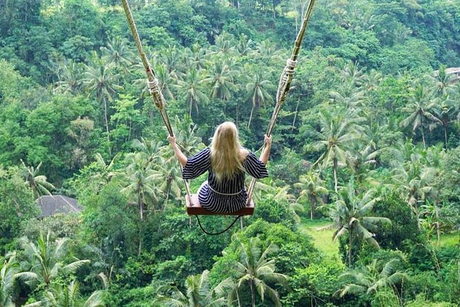 Penglipuran Traditional Village Tour with Swing, Rice Terrace, and Temple - Who should book this experience?