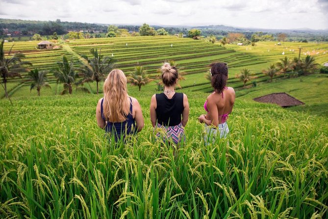 Private Bali Tour: The Most Scenic Places - Jatiluwih: the visual centerpiece of the day