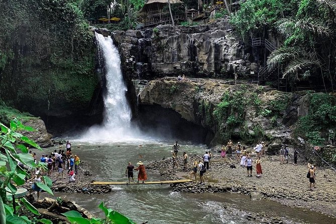 Private Bali Tour: Wonderful Ubud with Swing - The coffee stop and Terrace River Pool Swing