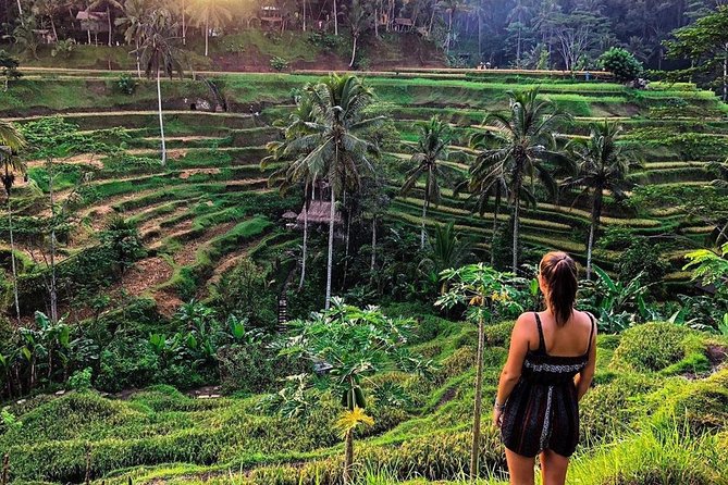 Private Bali Tour: Wonderful Ubud with Swing - What the private vehicle and guide change