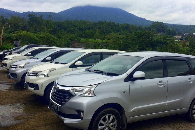 Private Car Charter - Explore Best of Bali - Building a sensible Ubud day
