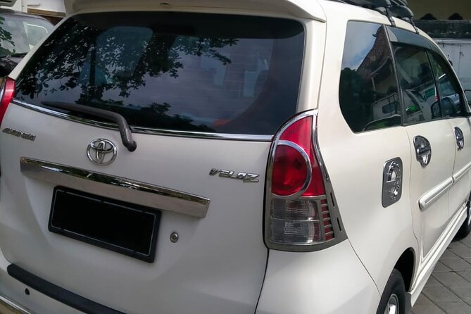 Private Car Charter: Hire Car with English Speaking Driver - A flexible Bali day from Ubud