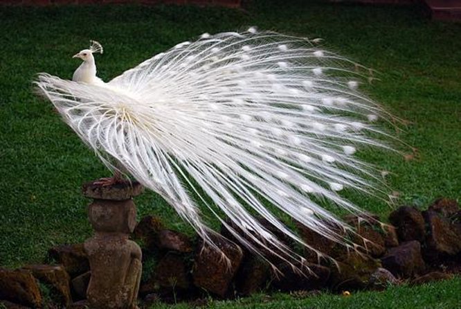 Private Custom Tour: 10-hour Best of Bali Tour - How to make ten hours work