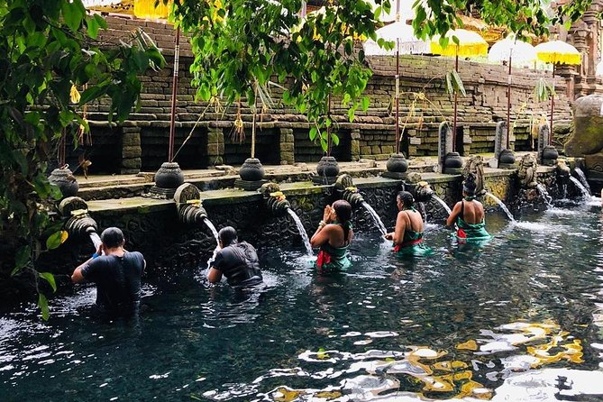 Private Custom Tour: 10-hour Tailor Made Tour of Bali - What this private Bali day really offers