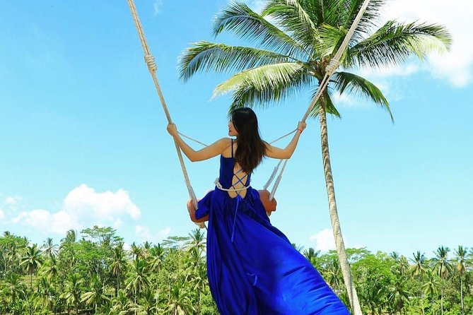 Private Custom Tour: 10-hour Tailor Made Tour of Bali - West and east Bali options