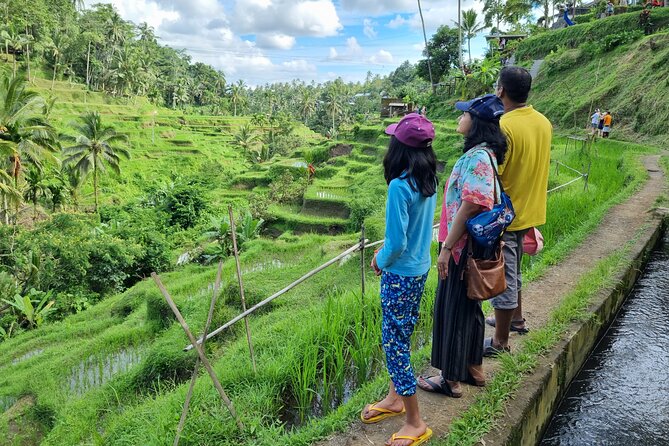 Private Customizable Bali Tour Visit with Transfer Included - Beaches, bays, and a southern route