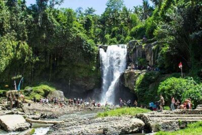 Private Day Tour: The Highlight of Ubud