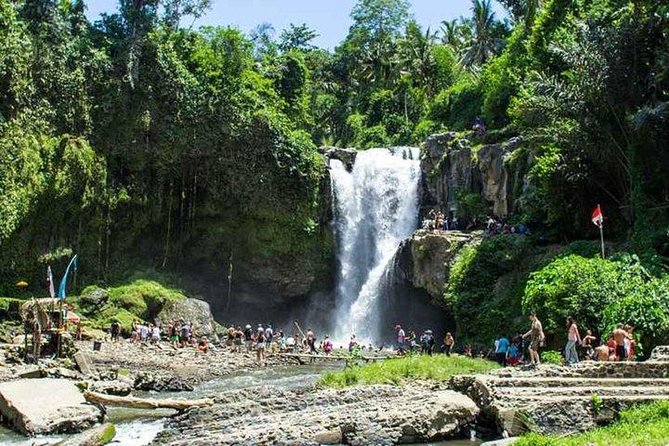 Private Day Tour: The Highlight of Ubud - Seeing Balinese Ritual at Tirta Empul