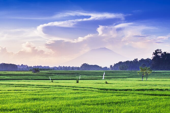 Private Experience: Bali Village Tour - Lunch, water, fees, and the real value of $52