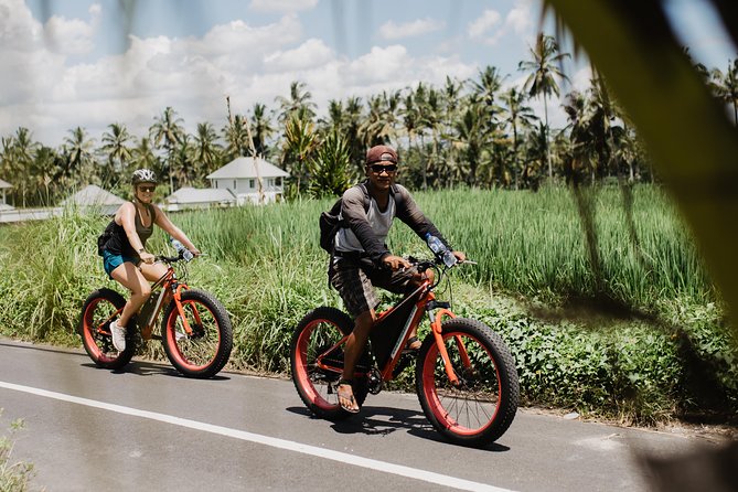 Private Fat Tire E-Bike Tour in Ubud - Tegalalang Rice Terrace in a quick 15-minute stop