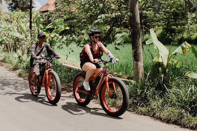 Private Fat Tire E-Bike Tour in Ubud - Campuhan Ridge and other possible sights