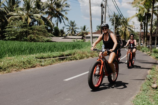 Private Fat Tire E-Bike Tour in Ubud - What the guide adds to the ride