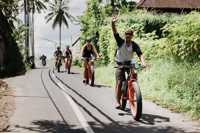 Private Fat Tire E-Bike Tour in Ubud - Choosing a route through fields, forest, and villages