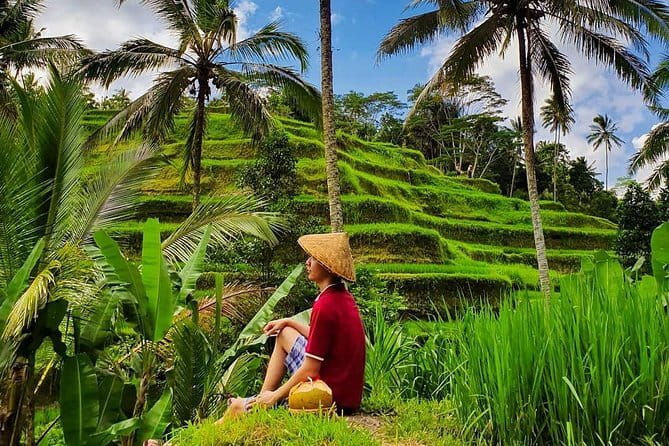 Private Full - Day Nusa Penida Island Tour - Thousand Islands Viewpoint and the tree house