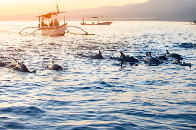 Private Full - Day Nusa Penida Island Tour - What the private format really gives you