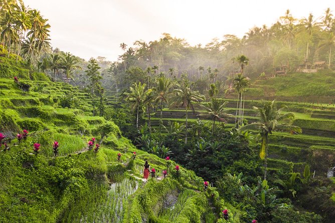 Private Full-Day Tour: Balinese Temples and Rice Terraces - Tirta Empul and the choice to purify