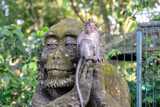 Private Full-Day Tour: Balinese Temples and Rice Terraces - Walking the Tegalalang Rice Terraces