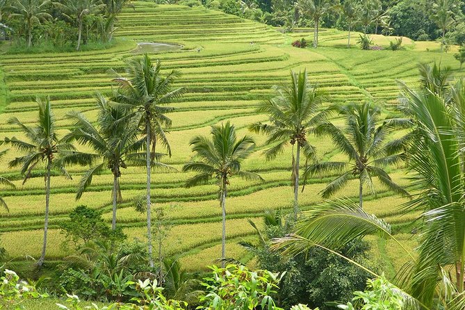 Private Full-Day Tour of West Bali with Hotel Pick Up - Why this route works from Ubud