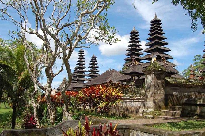 Private Jatiluwih Rice Terraces Heritage Site and Culture Tour - What Dewa Alit adds to the day