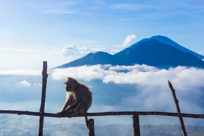 Private Mount Batur Sunrise Trekking Tour - Who will enjoy this Mount Batur morning?