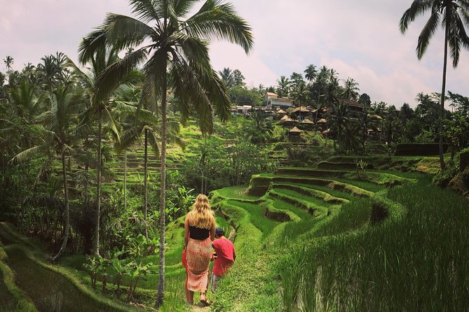 Private Tour: Balinese Culture and Scenery (visit ubud area) - Mount Batur without the early-morning hike