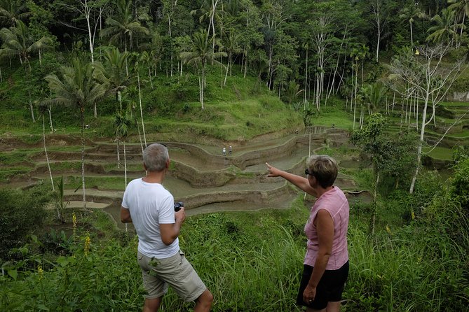 Private Tour: Balinese Culture and Scenery (visit ubud area) - What the private format adds at $65